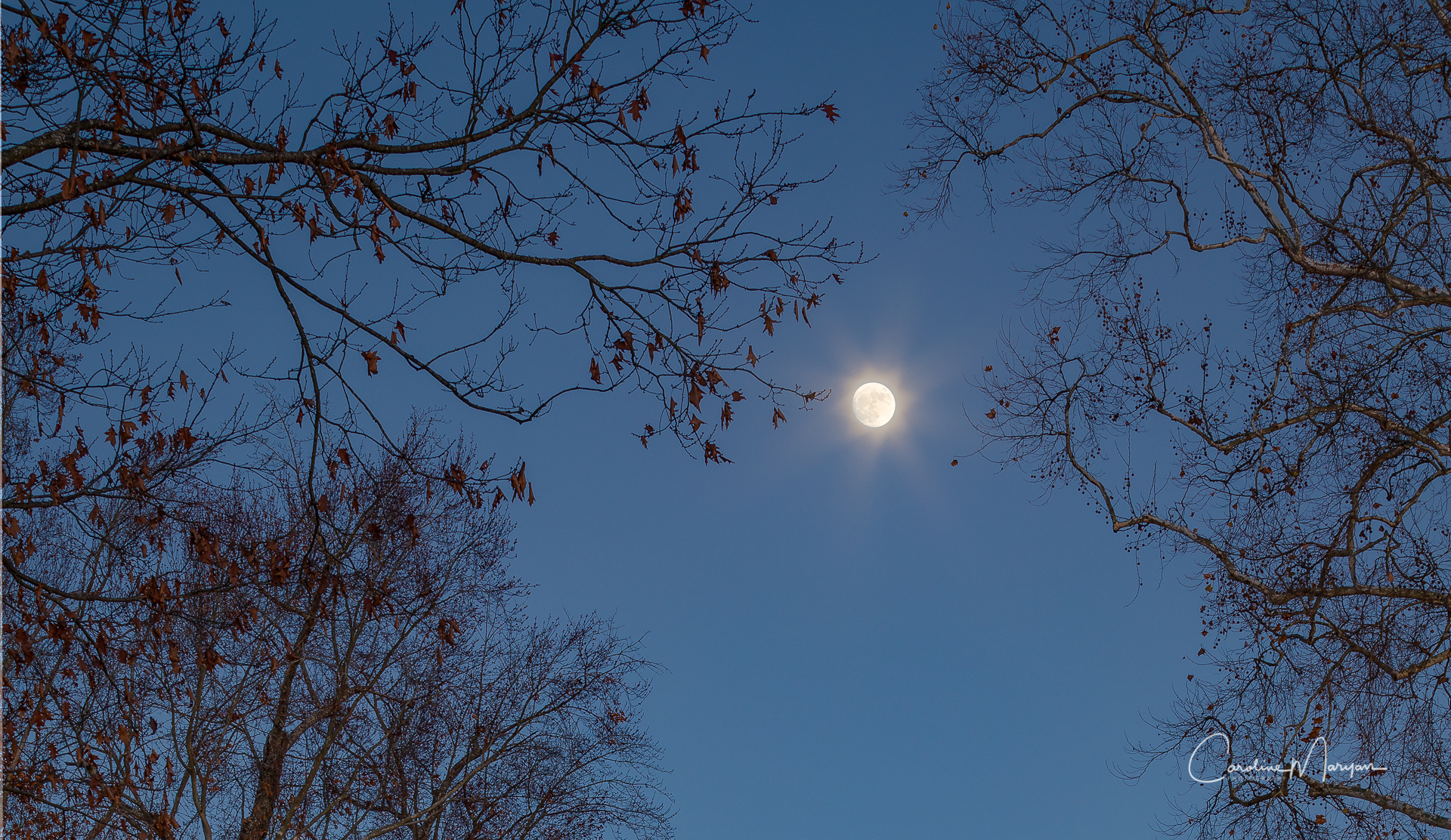 Full moon above the Capitol Building in Colonial Williamsburg, VA