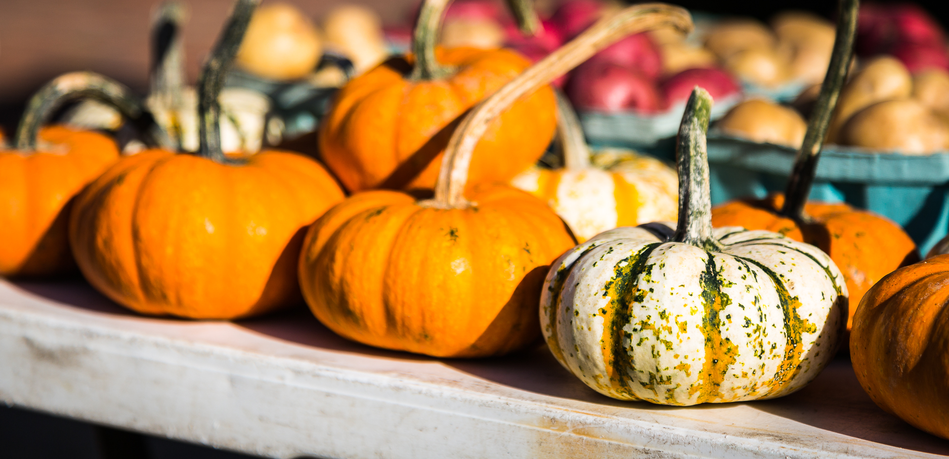 The colors of fall are captured in these mini pumpkins at a farmers' market