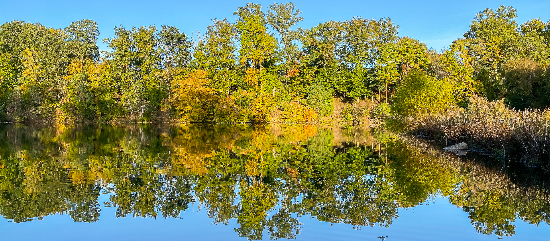 panorama of fall scene reflected in a pond