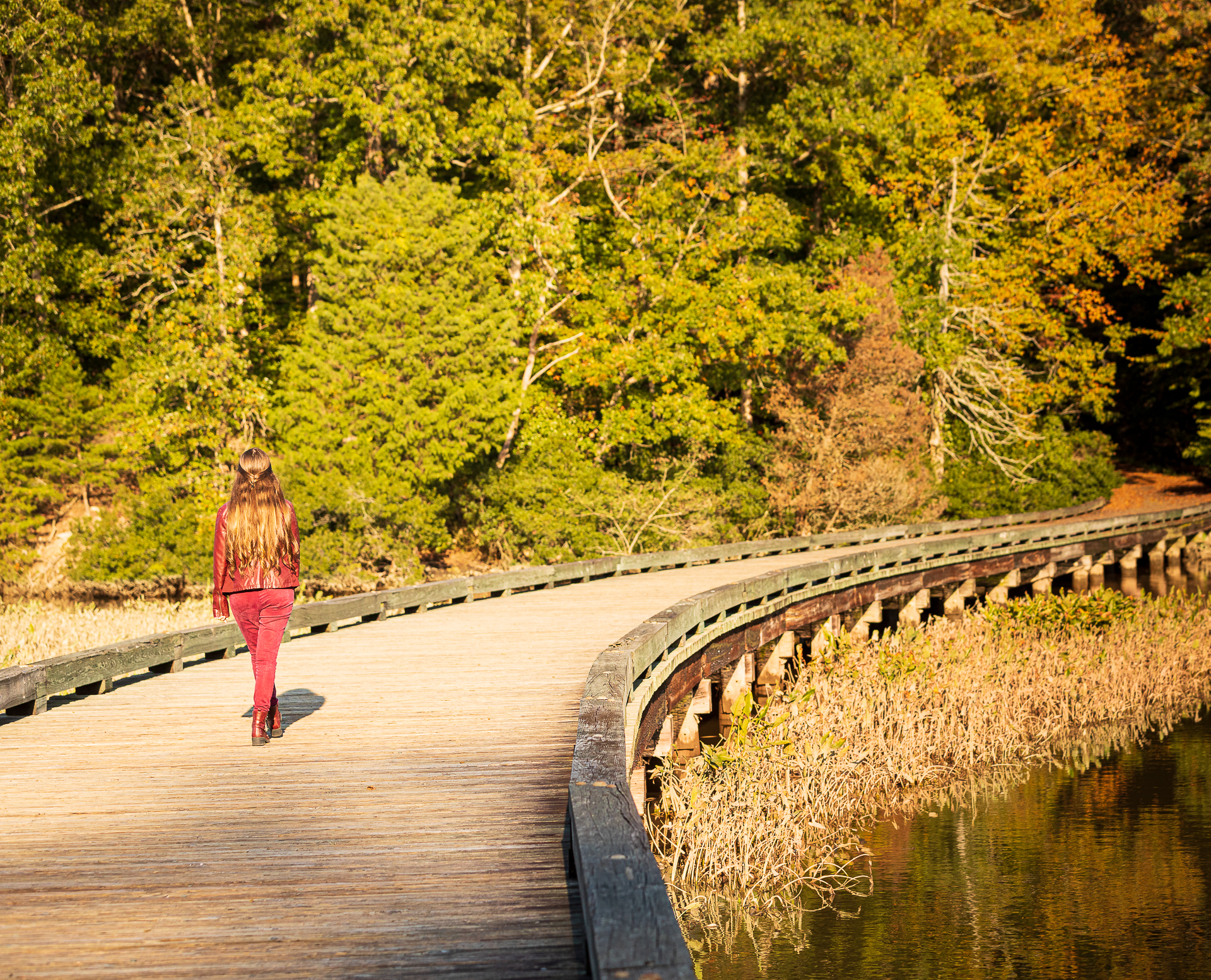 A person walking on a curved wooden boardwalk surrounded by lush green trees.