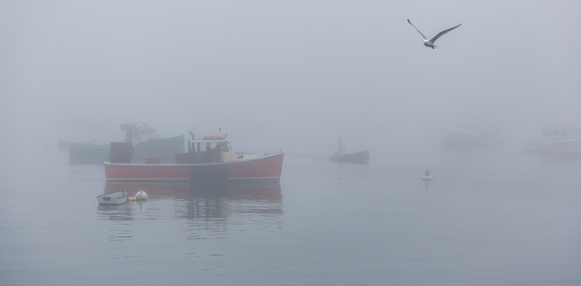 A seagull flies by boats floating in the harbor in Rockport, Maine, early on a foggy day.