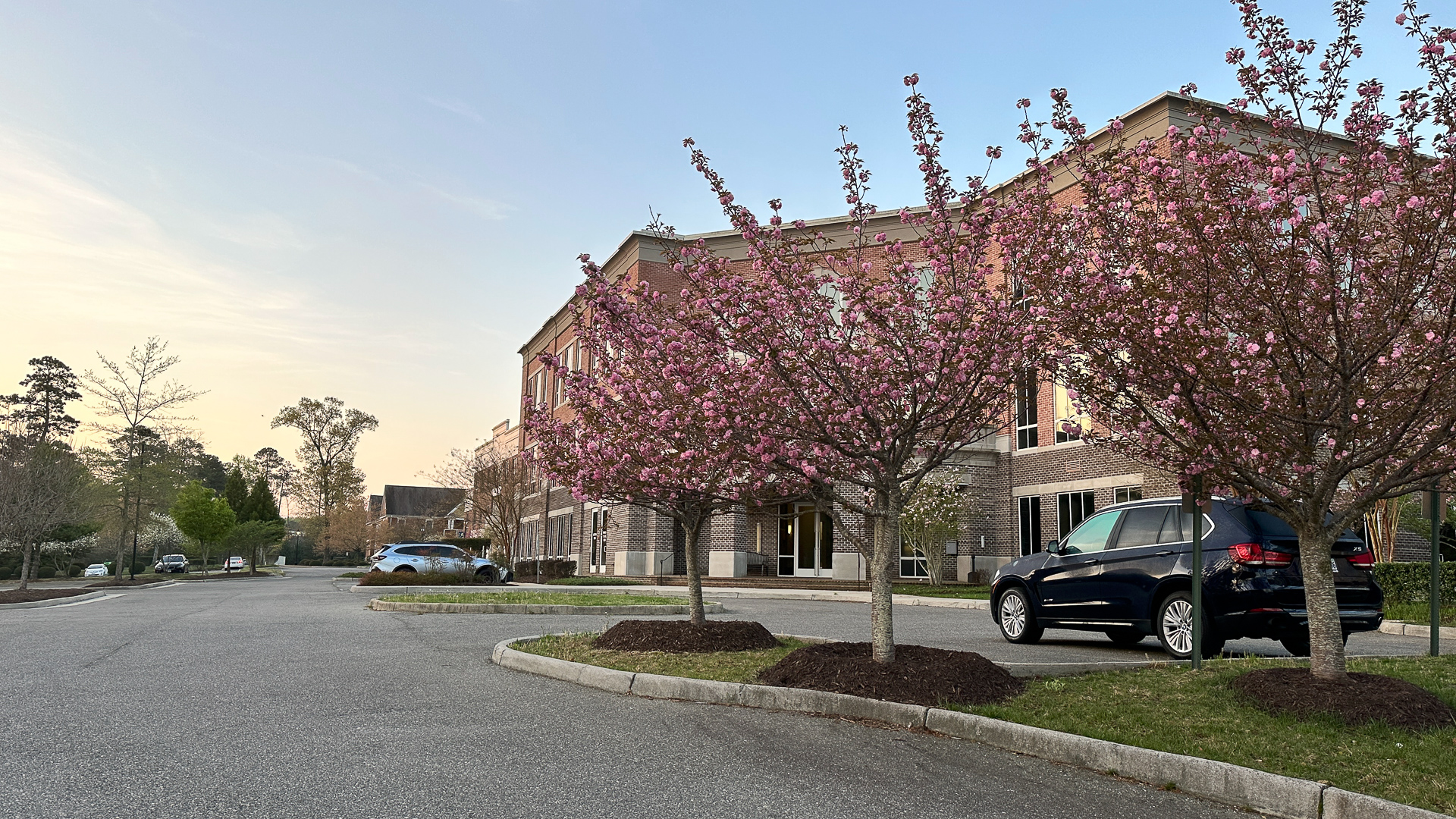 Be ready to take photos of flowers in early spring near parking lots.
