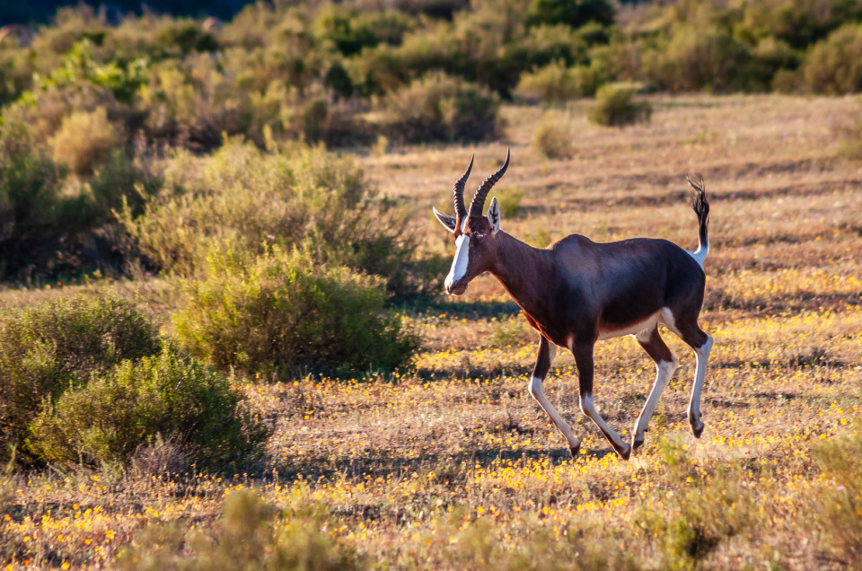 Program Mode Photography: A Pro Shortcut You Shouldn’t Overlook