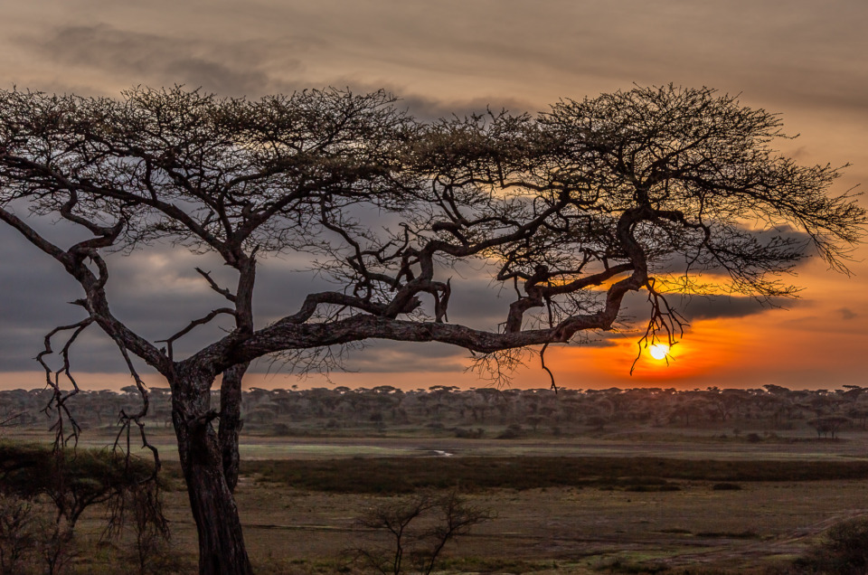 Why Use Manual Mode? Six Times Auto Would Have Failed