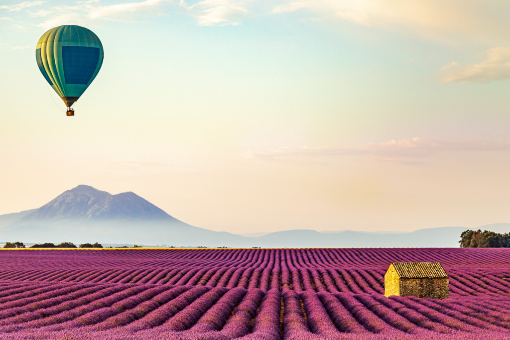 before dawn spring photography shot of a hot air balloon over a French lavender field