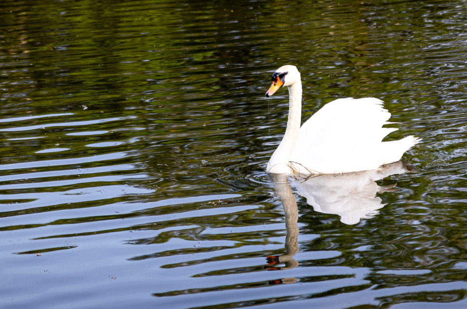 Spring Photography: Your Camera Is Ready. Are You?