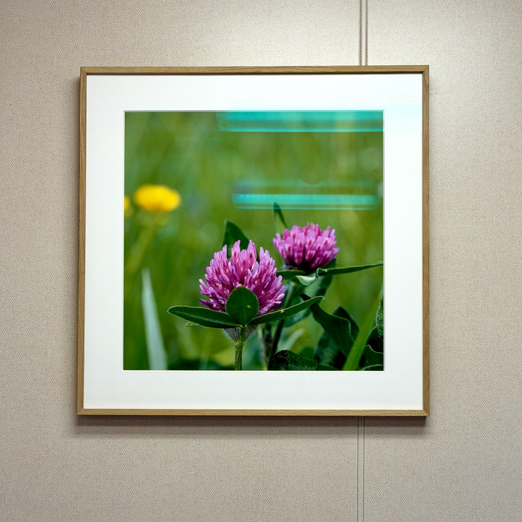 One Framed Photo on Viking Mira by Unknown Photographer