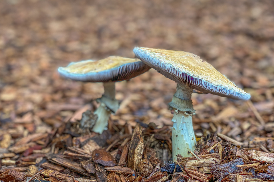 Everyday Photography: Finding Photos Hiding in Plain Sight